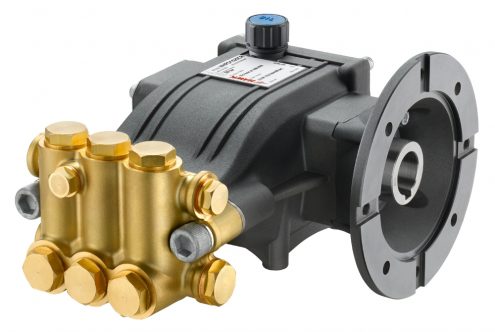 Pumps with electric motor flange