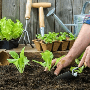 Garden Tools